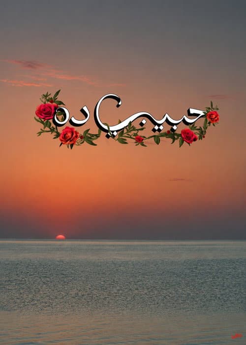 حبيبي ده