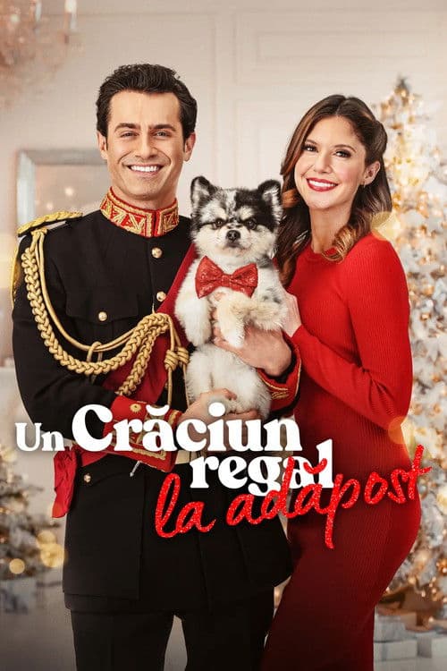 Un Crăciun regal la adăpost