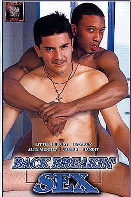 Back Breakin' Sex