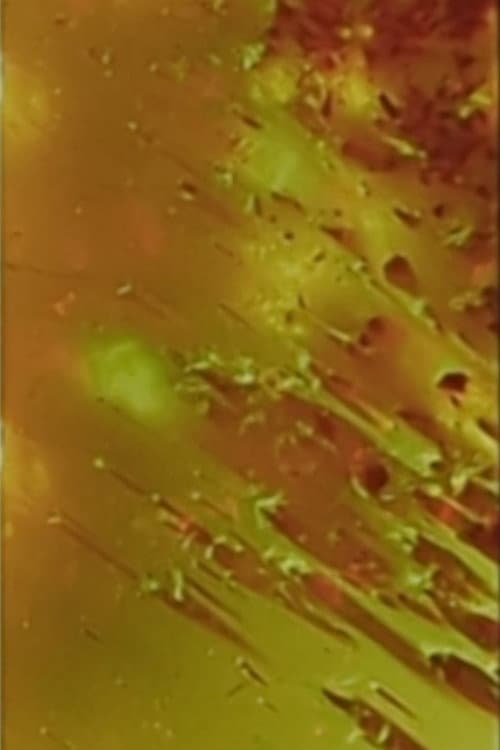 (the daily compromise of) My Enmeshment