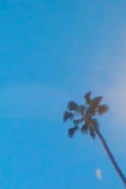 What's a Life? (Tio's Remix)