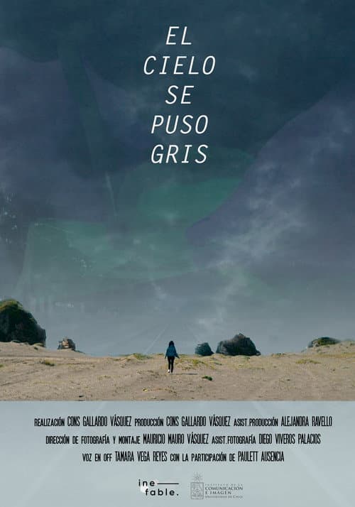 El cielo se puso gris