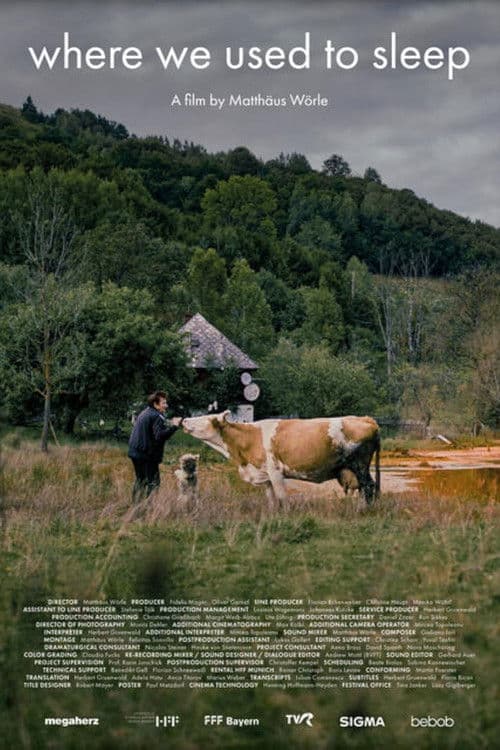 Where We Used to Sleep