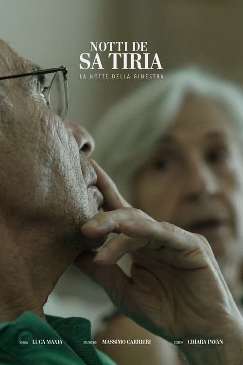 Night of The Broom Flower