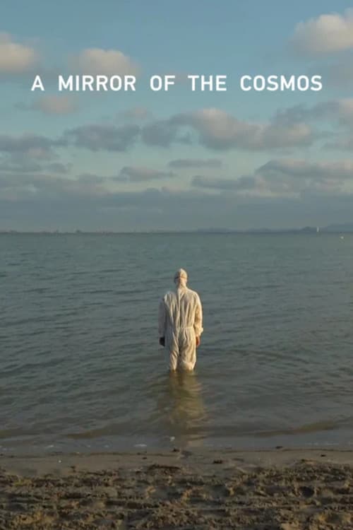 A Mirror of the Cosmos