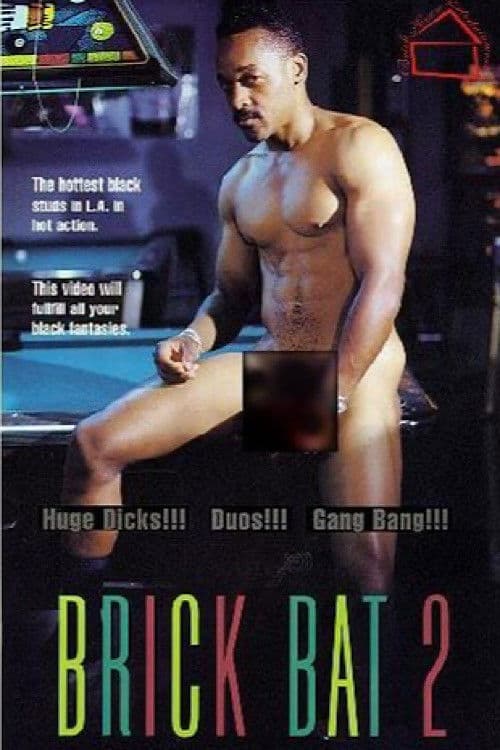 Brick Bat 2