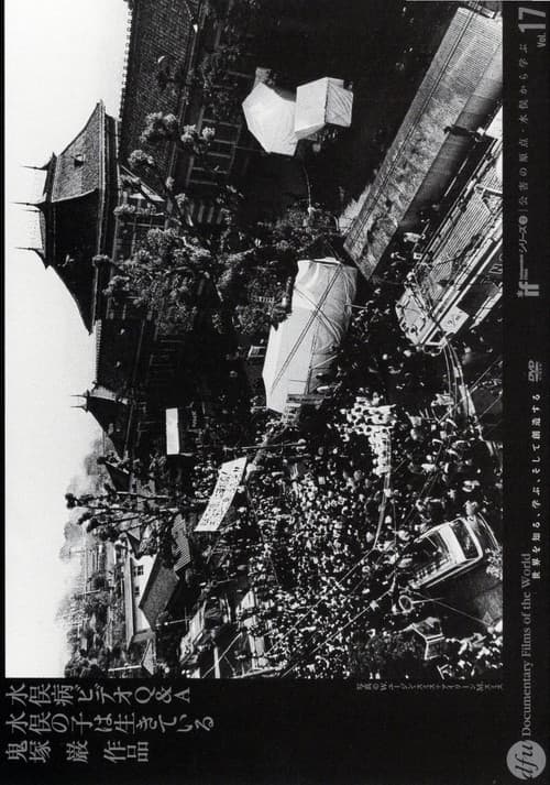 水俣病　ビデオＱ＆Ａ