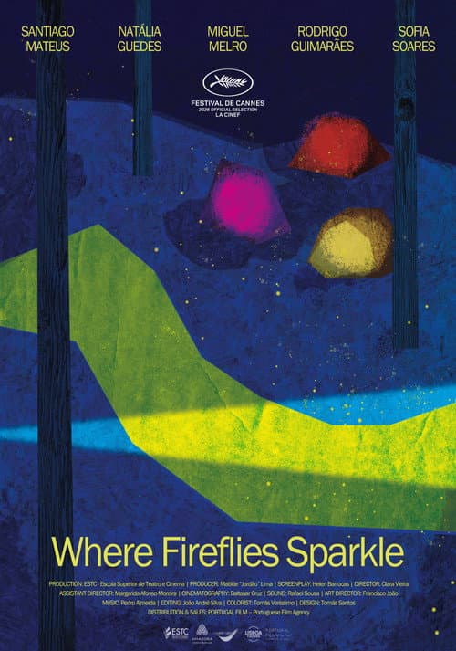 Onde Nascem os Pirilampos