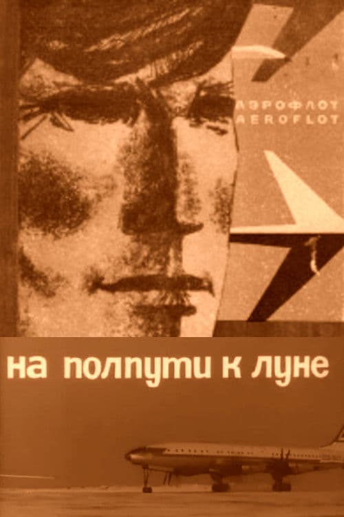 На полпути к луне