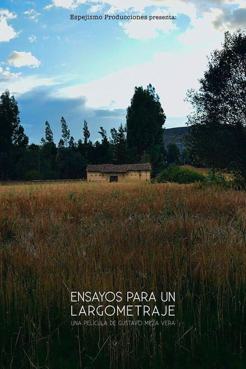Ensayos para un largometraje