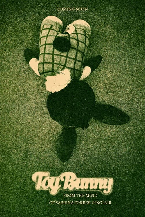 Toy Bunny