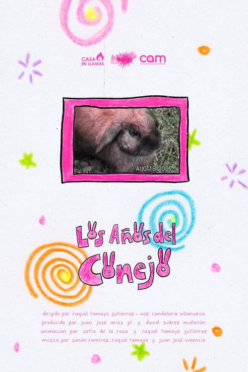 Los Años del Conejo