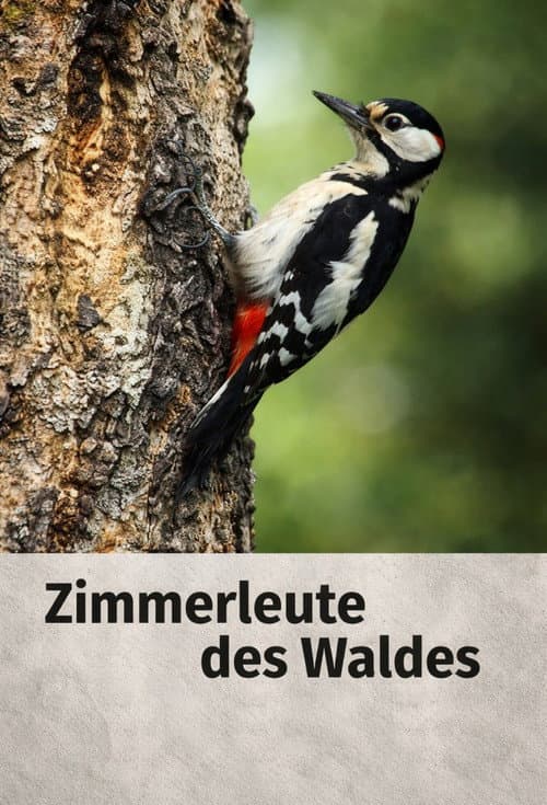 Zimmerleute des Waldes