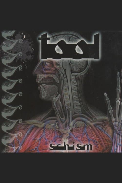 TOOL - Schism