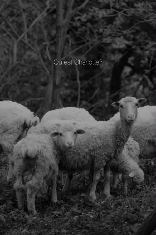 Où est Charlotte?