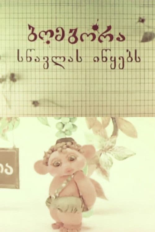 ბომბორა სწავლას იწყებს