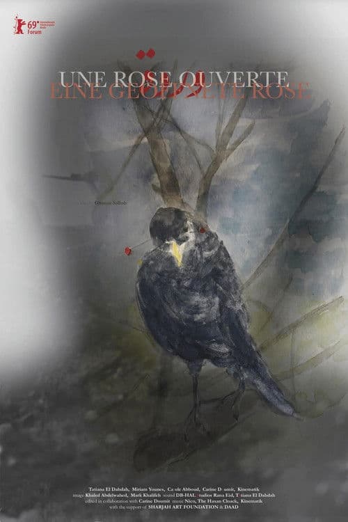 Une rose ouverte / Warda