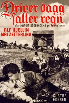 Soarele răsare după ploaie