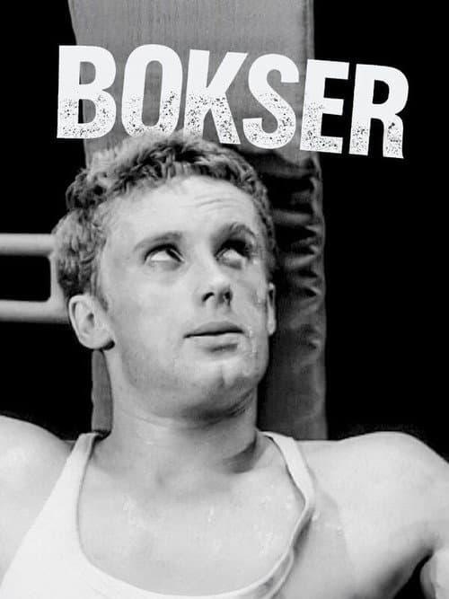 Bokser