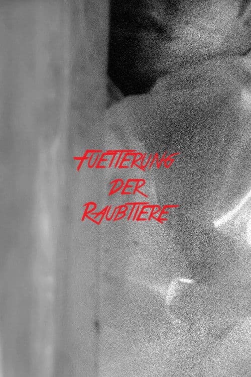 Fütterung der Raubtiere