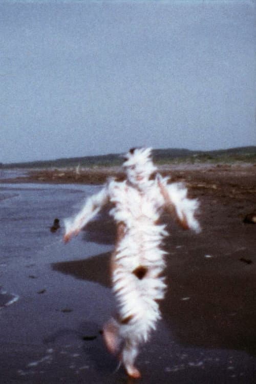 Bird Run