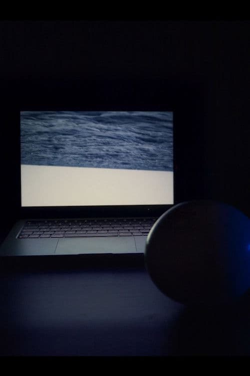 Into the Violet Belly