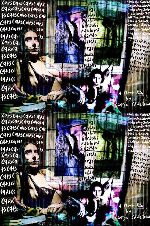 Cats, Birds, Chalandri, Piraeus