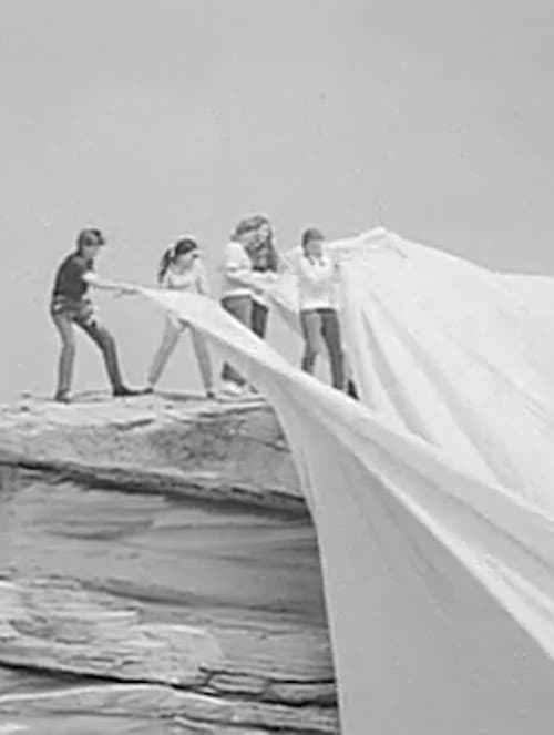 Operation Wrap Up: Christo In Australia