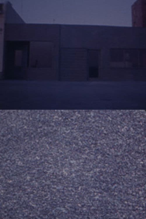 Michael Brod's Whoever — In Transit