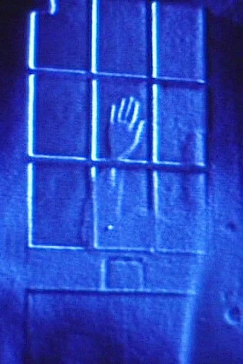 Five Films by Phil Solomon