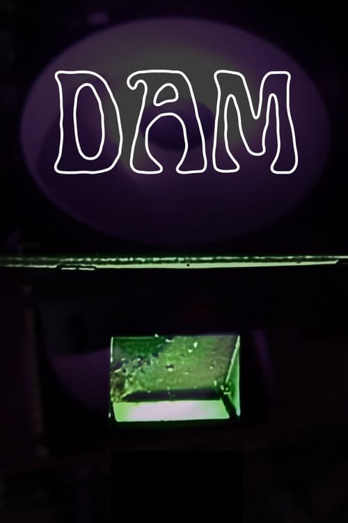 Dam