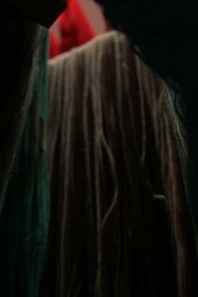 Les fantômes de l'escarlate