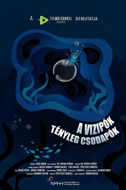 A vízipók tényleg csodapók