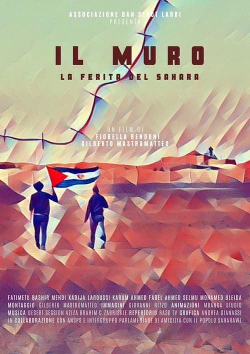 Il muro, la ferita del Sahara