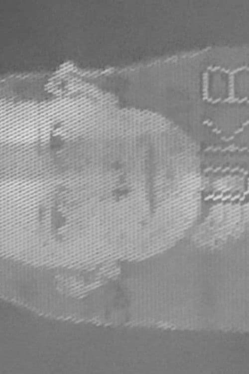 Що ти будеш робити, якщо війна продовжиться?