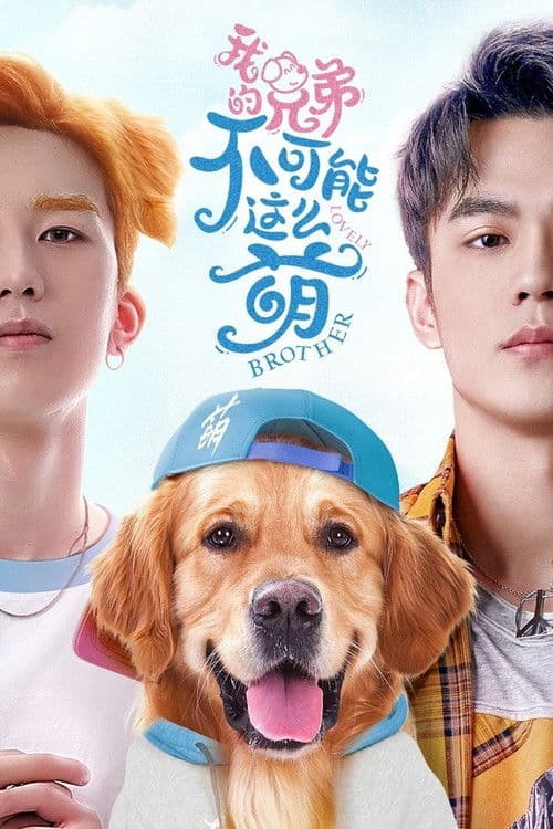 我的兄弟不可能这么萌