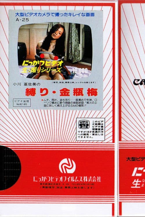 小川亜佐美の　縛り・金瓶梅