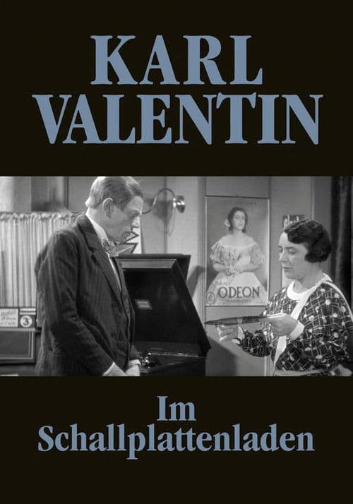 Im Schallplattenladen