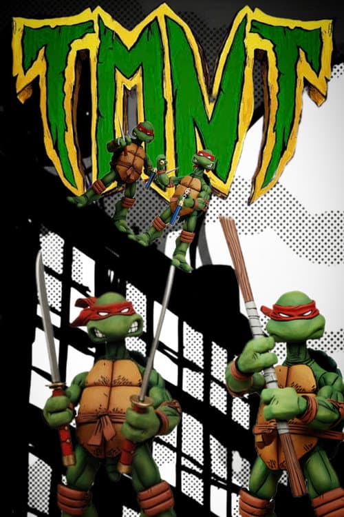 Ninja Turtles In the Shadows Trail