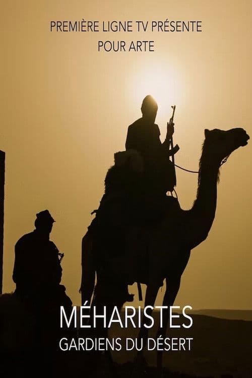 Méharistes, gardiens du désert