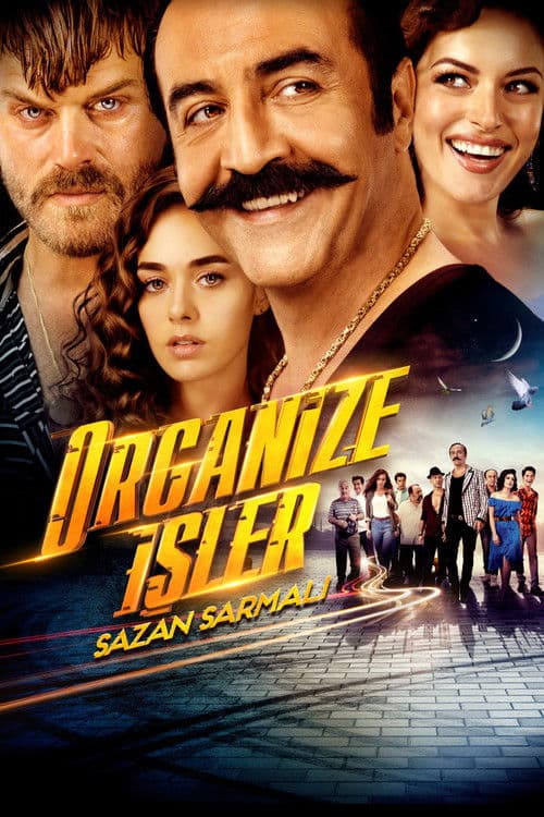 Organize Isler 2