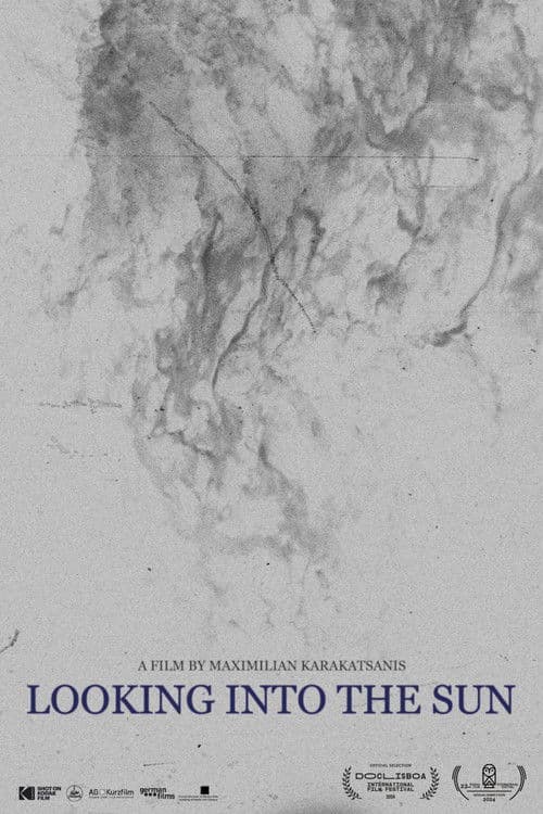 In Die Sonne Blicken