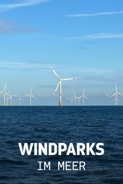 Windparks im Meer - Chance oder Risiko für die Natur?