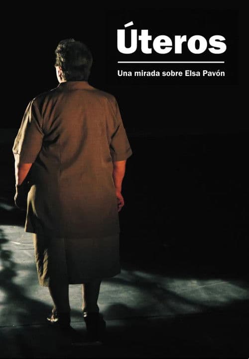 Úteros: una mirada sobre Elsa Pavón