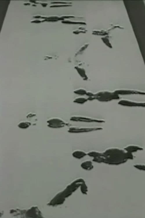 Anthropometries of the Blue Period and Fire Paintings