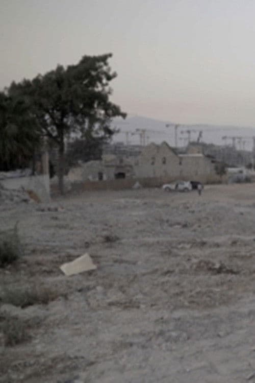 Hatay: 12-24 Eylül 2025