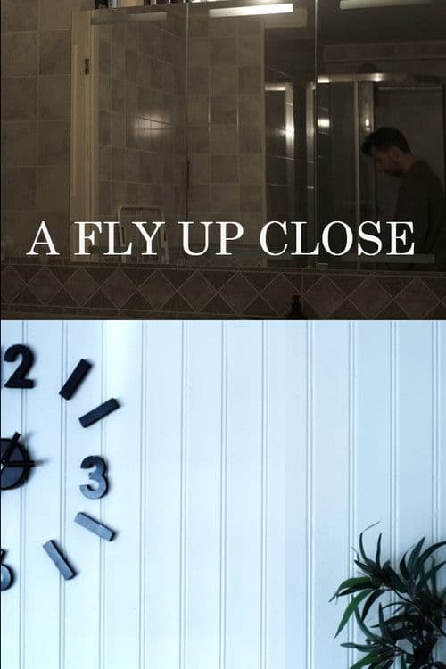 En Flue På Nært Hold