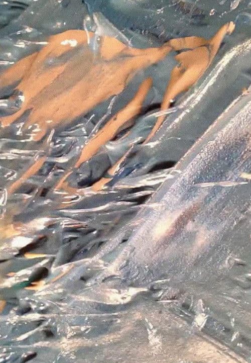 After Creation After Icebergs