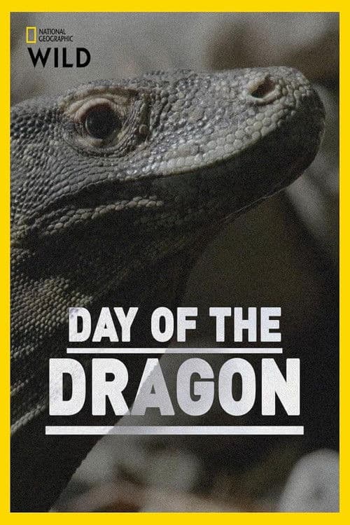 Day of the Dragon
