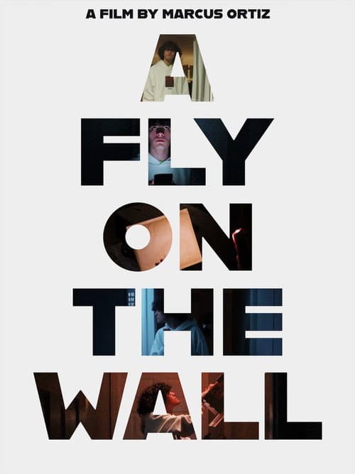 A Fly On The Wall
